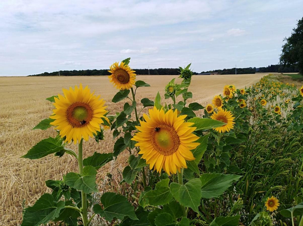 Gite Du Soleil 안히 외부 사진